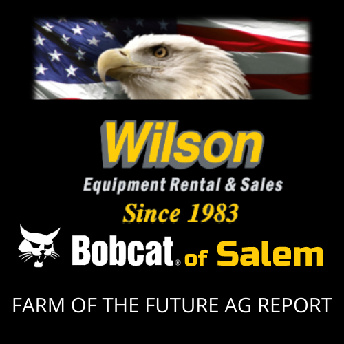 Wilson Equipment Bobcat of Salem 