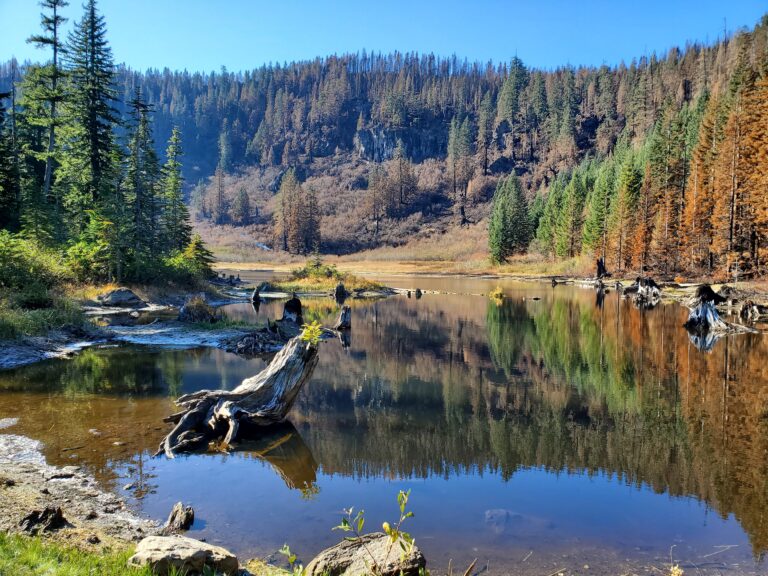 High Lakes Reopening Completes Public Access to Santiam State Forest ...